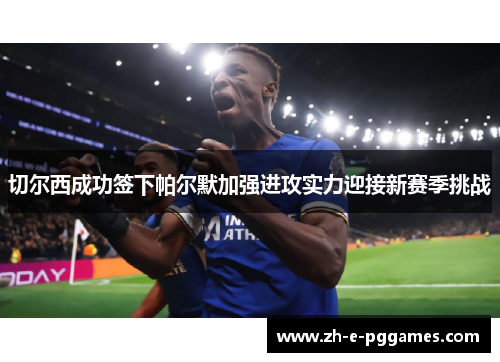 切尔西成功签下帕尔默加强进攻实力迎接新赛季挑战 切尔西成功签下帕尔默加强进攻实力迎接新赛季挑战